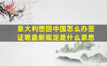 意大利想回中国怎么办签证呢最新规定是什么意思