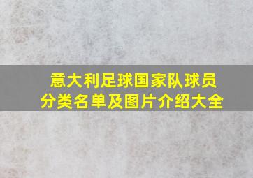 意大利足球国家队球员分类名单及图片介绍大全