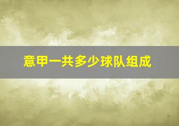 意甲一共多少球队组成