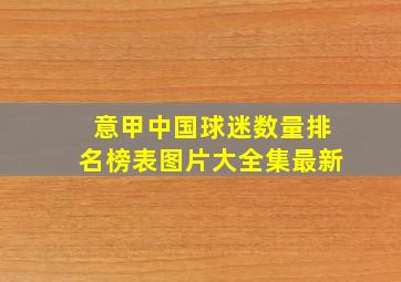 意甲中国球迷数量排名榜表图片大全集最新