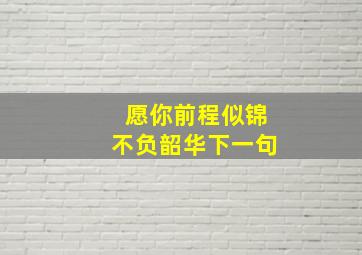 愿你前程似锦不负韶华下一句