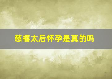 慈禧太后怀孕是真的吗