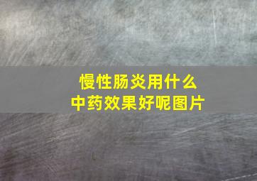 慢性肠炎用什么中药效果好呢图片