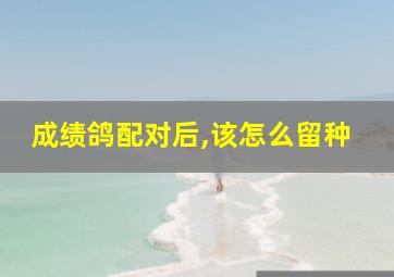 成绩鸽配对后,该怎么留种