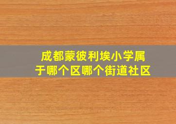 成都蒙彼利埃小学属于哪个区哪个街道社区