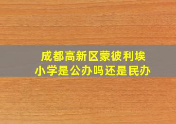 成都高新区蒙彼利埃小学是公办吗还是民办