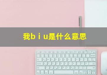 我bⅰu是什么意思