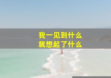 我一见到什么就想起了什么