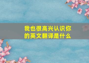 我也很高兴认识你的英文翻译是什么