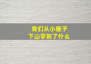 我们从小猴子下山学到了什么