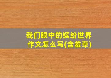 我们眼中的缤纷世界作文怎么写(含羞草)