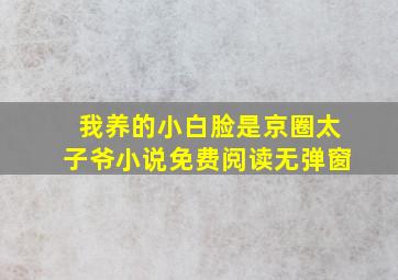 我养的小白脸是京圈太子爷小说免费阅读无弹窗