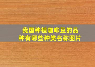 我国种植咖啡豆的品种有哪些种类名称图片