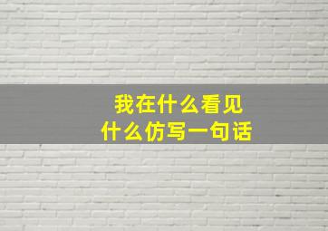 我在什么看见什么仿写一句话