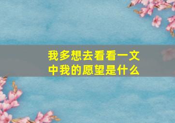 我多想去看看一文中我的愿望是什么