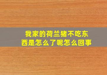 我家的荷兰猪不吃东西是怎么了呢怎么回事