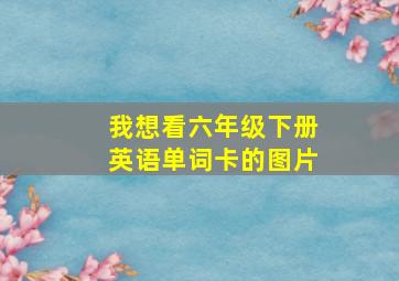 我想看六年级下册英语单词卡的图片