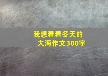 我想看看冬天的大海作文300字