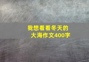 我想看看冬天的大海作文400字