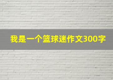 我是一个篮球迷作文300字