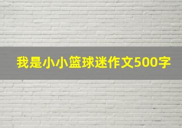 我是小小篮球迷作文500字