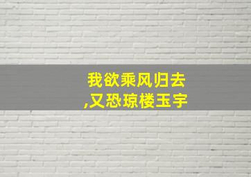 我欲乘风归去,又恐琼楼玉宇