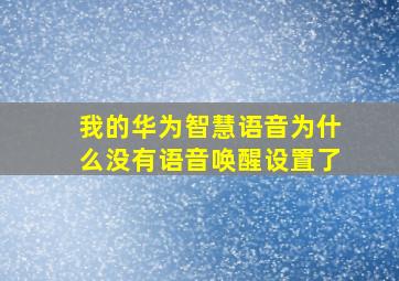 我的华为智慧语音为什么没有语音唤醒设置了