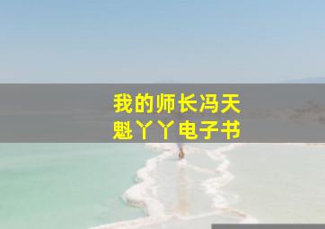 我的师长冯天魁丫丫电子书