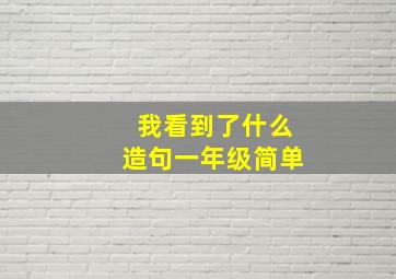 我看到了什么造句一年级简单