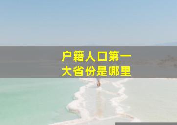 户籍人口第一大省份是哪里