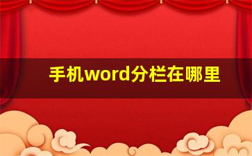 手机word分栏在哪里