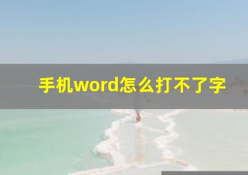 手机word怎么打不了字