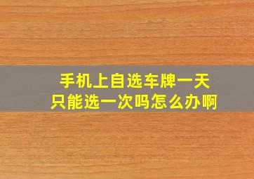 手机上自选车牌一天只能选一次吗怎么办啊