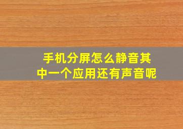 手机分屏怎么静音其中一个应用还有声音呢