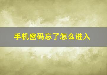 手机密码忘了怎么进入