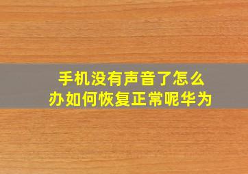 手机没有声音了怎么办如何恢复正常呢华为