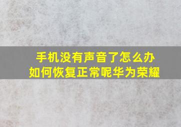 手机没有声音了怎么办如何恢复正常呢华为荣耀