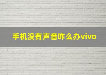 手机没有声音咋么办vivo