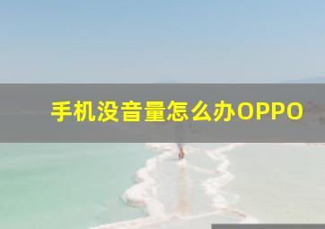 手机没音量怎么办OPPO