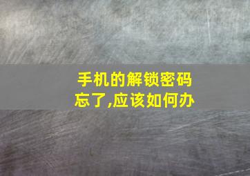 手机的解锁密码忘了,应该如何办