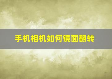 手机相机如何镜面翻转