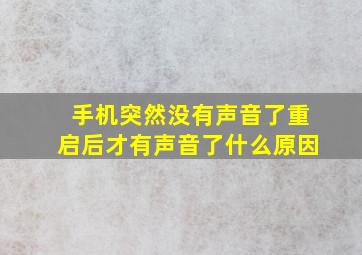 手机突然没有声音了重启后才有声音了什么原因