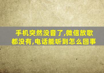 手机突然没音了,微信放歌都没有,电话能听到怎么回事