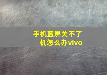 手机蓝屏关不了机怎么办vivo