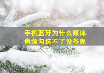 手机蓝牙为什么媒体音频勾选不了设备呢