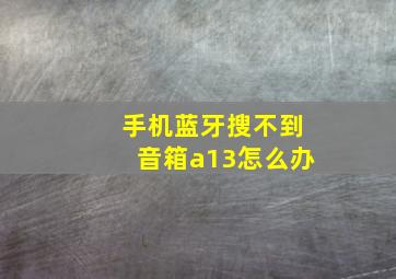 手机蓝牙搜不到音箱a13怎么办