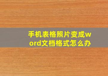 手机表格照片变成word文档格式怎么办