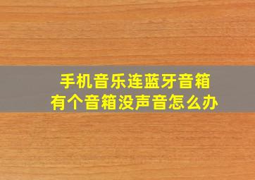 手机音乐连蓝牙音箱有个音箱没声音怎么办