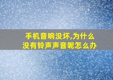 手机音响没坏,为什么没有铃声声音呢怎么办