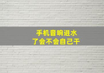 手机音响进水了会不会自己干